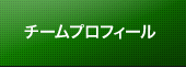 チームプロフィール